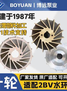 2BV叶轮铸铁304铜叶轮耐磨防腐博远泵业原装水环真空泵液环泵配件
