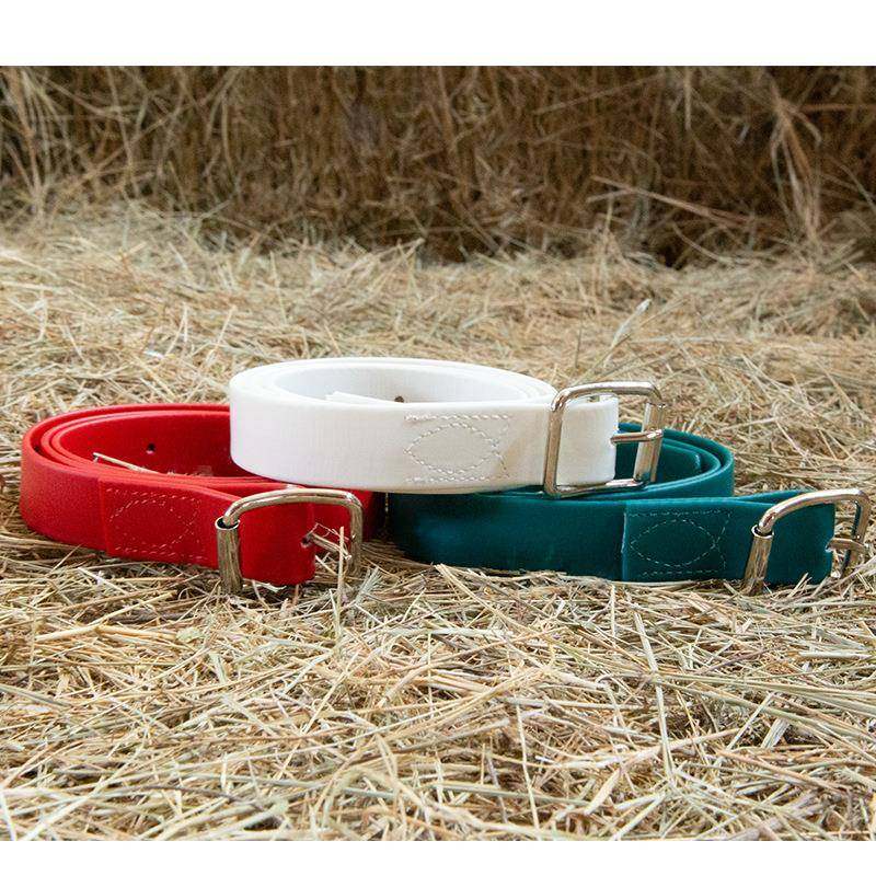 Cavassion小马马匹调教颈带安全抓绳96cm8218144,鲜花速递/花卉仿真/绿植园艺,割草机/草坪机,淘宝优惠券,粉丝福利购,淘宝优惠卷