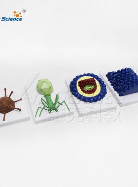 VIC-HB132病毒模型4个一套 杆状病毒腺状病毒噬菌体