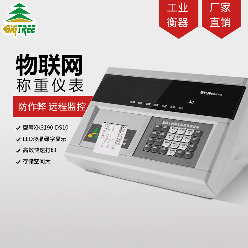 大树DS10P物联网称重显示器地磅称重带打印仪表头汽车衡显示器