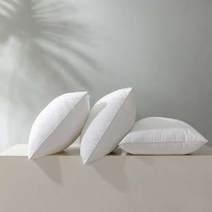 新款 学生宿舍靠枕靠腰枕头多用一对拍2 星级酒店枕芯家用单人1个装