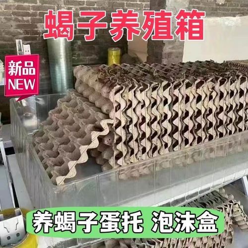 养蝎子蛋托蝎子养殖箱泡沫盒子专用蝎窝模具蝎房工具的笼家34穴40