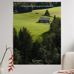 夏日森林高级感挂布宿舍床头装饰挂毯卧室墙面装饰布拍照背景布