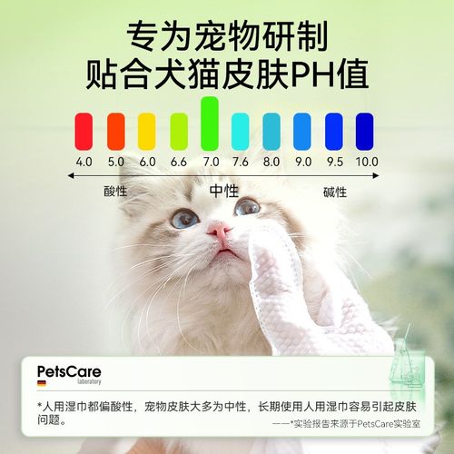 宠物免洗清洁手套猫咪洗澡神器除臭清洁狗狗干洗湿纸巾