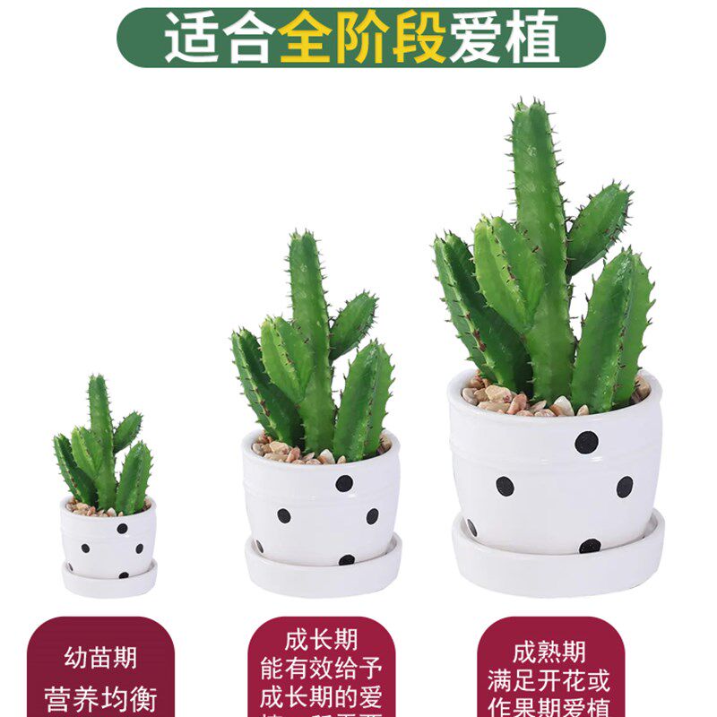 多肉植物肥料专用肥肉肉营养液促生根爆芽肉肉优芽素盆栽 营养土