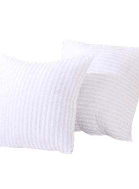 正方形靠背枕芯方枕芯抱枕芯45 45 50 50 60x60 65x65cm一对靠枕