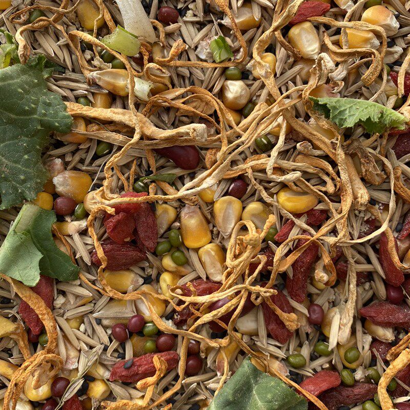 昱凰孔雀斗鸡饲料养殖场专用饲料科尔鸭繁育高品质宠物粮打窝育种