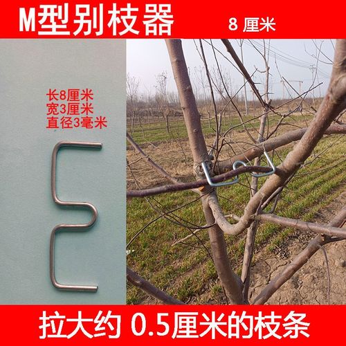果树别枝器压枝定型开角拉枝园农用园艺工具包邮果树拉平柑橘石榴