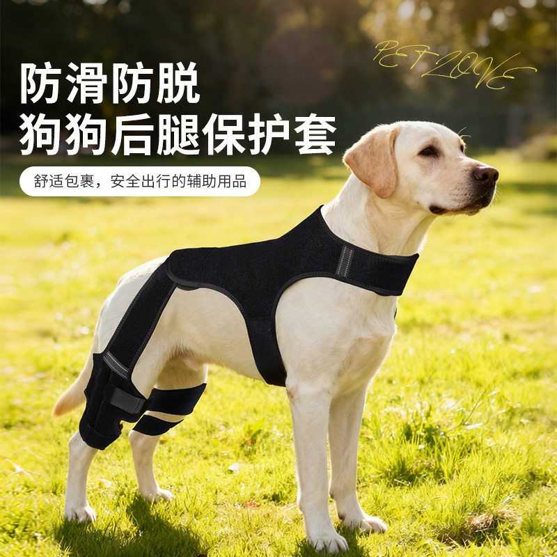 跨境宠物护具狗后腿受伤辅助带
