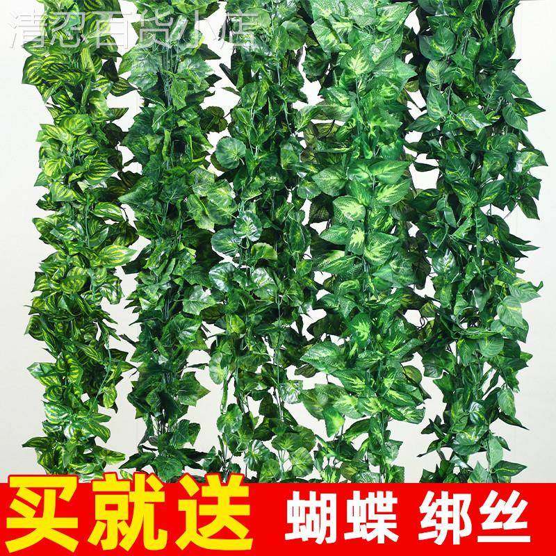 仿真绿萝树叶子假花藤条藤蔓室内吊顶装饰水管道塑料绿植缠绕遮挡