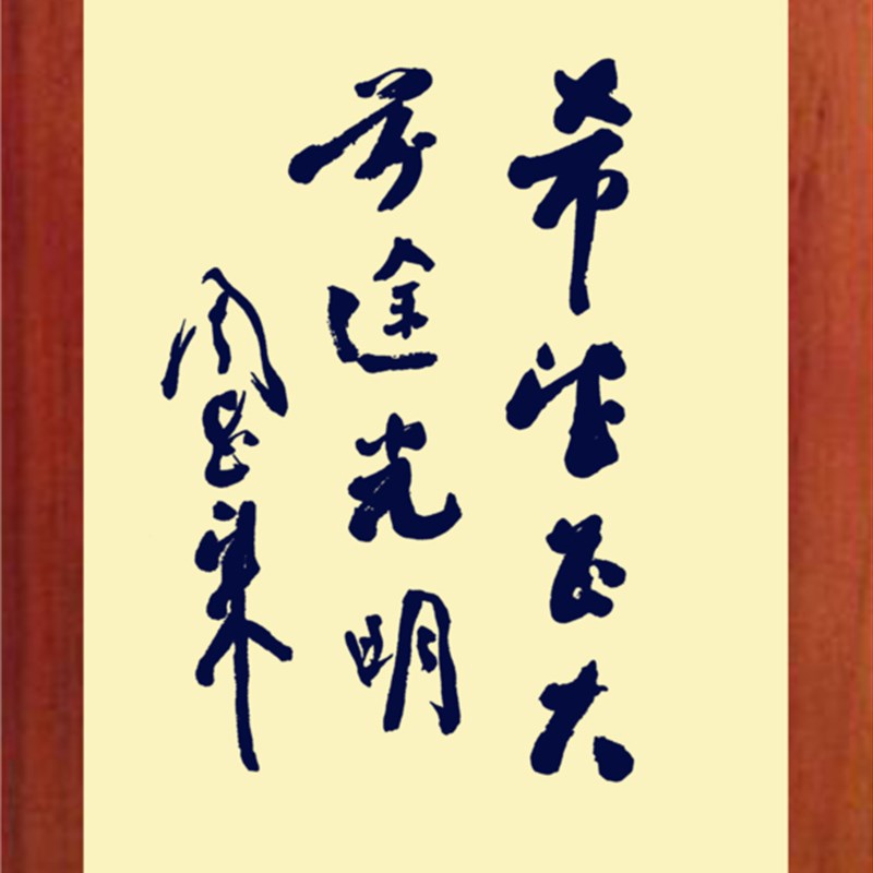 营养书画 进口实木有框画挂摆件 周恩来书法 希望甚大前途光明