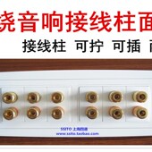 118四位组装 六组音响香蕉头音响插12头音响吸顶喇叭插座面板 面板