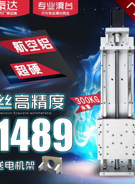 泰达线轨滑台模组滚珠丝杆1605高精度高承载四滑块电动滑轨TH20-S