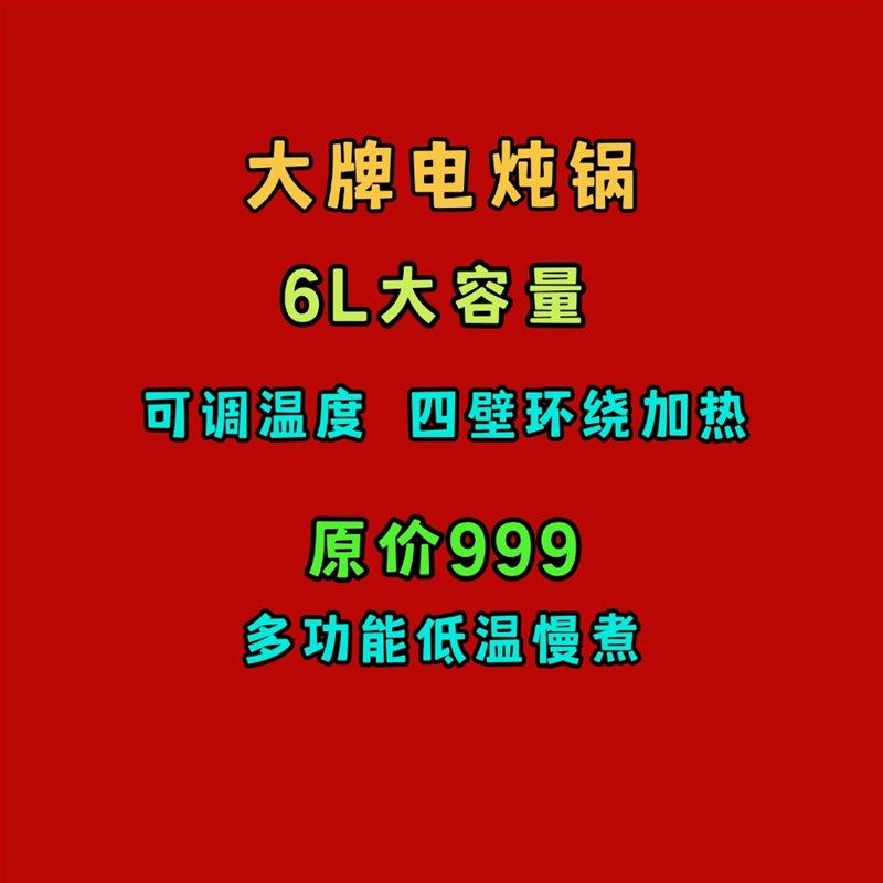 伊立浦多功能电炖盅恒温慢煮熬焖炖肉鸡卤水鹅掌分子美食机电炖锅