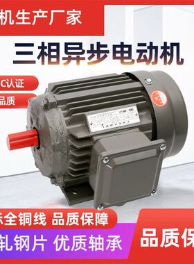 上海德东三相异步电动机0.55KW-7.5交流KW四级国标铜芯电机卧式立