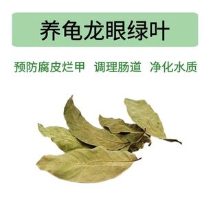 乌龟晒背台乌龟缸爬台高水位天然龙眼木龙眼叶防烂甲腐皮沉木调节