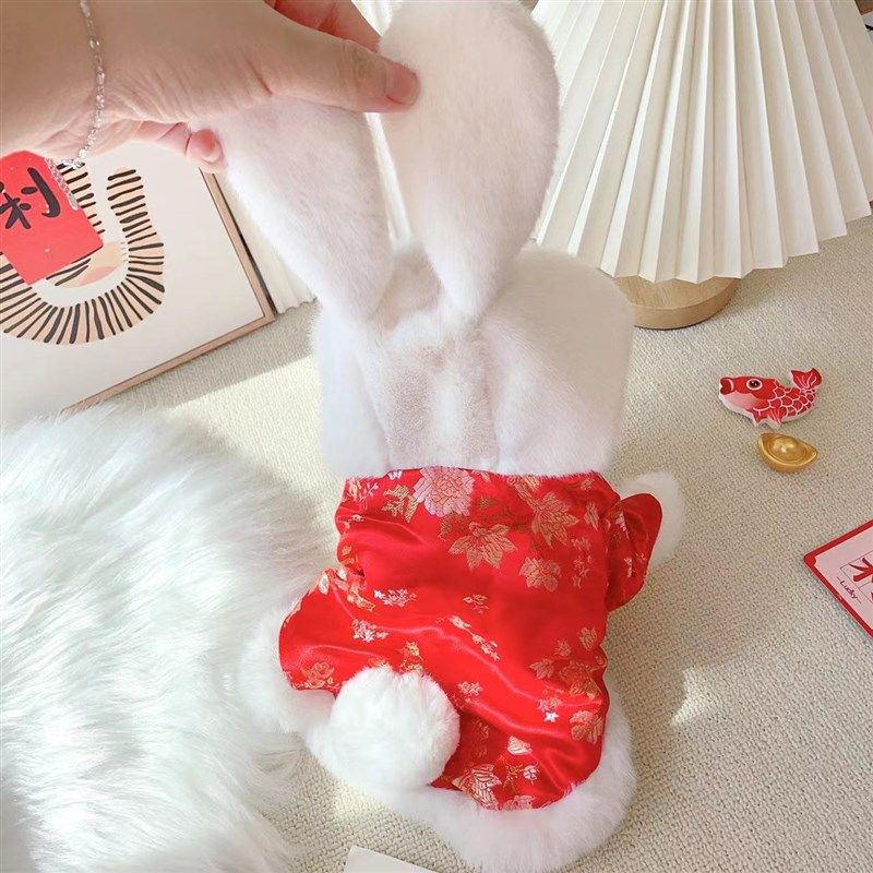 狗狗新年衣服泰迪比熊小型犬宠物猫咪冬季两脚衣加绒喜庆兔兔唐装,宠物/宠物食品及用品,狗宠物服装/雨衣,淘宝优惠券,粉丝福利购,淘宝优惠卷