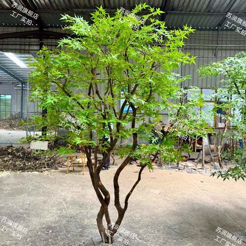 仿绿枫鸡真爪槭绿植FH37马醉木假树景观造树景店室内酒橱窗植物装