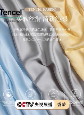 丝200支天件床单单件高档真丝被AL673162套丝滑裸睡三冰丝枕套套