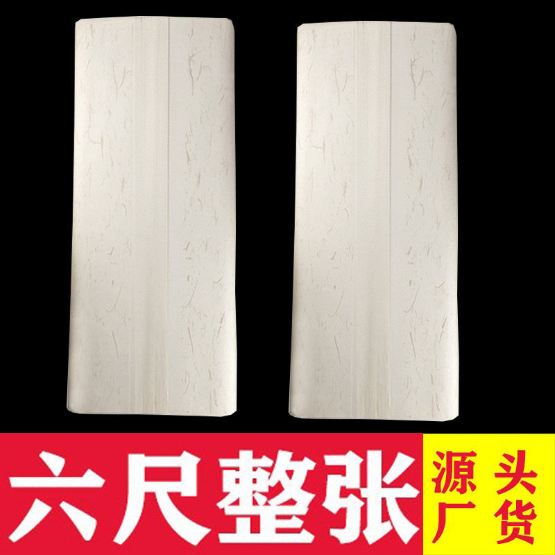 书画纸半生半熟全生书法国画作品纸全熟初学者毛笔字练习六尺整张