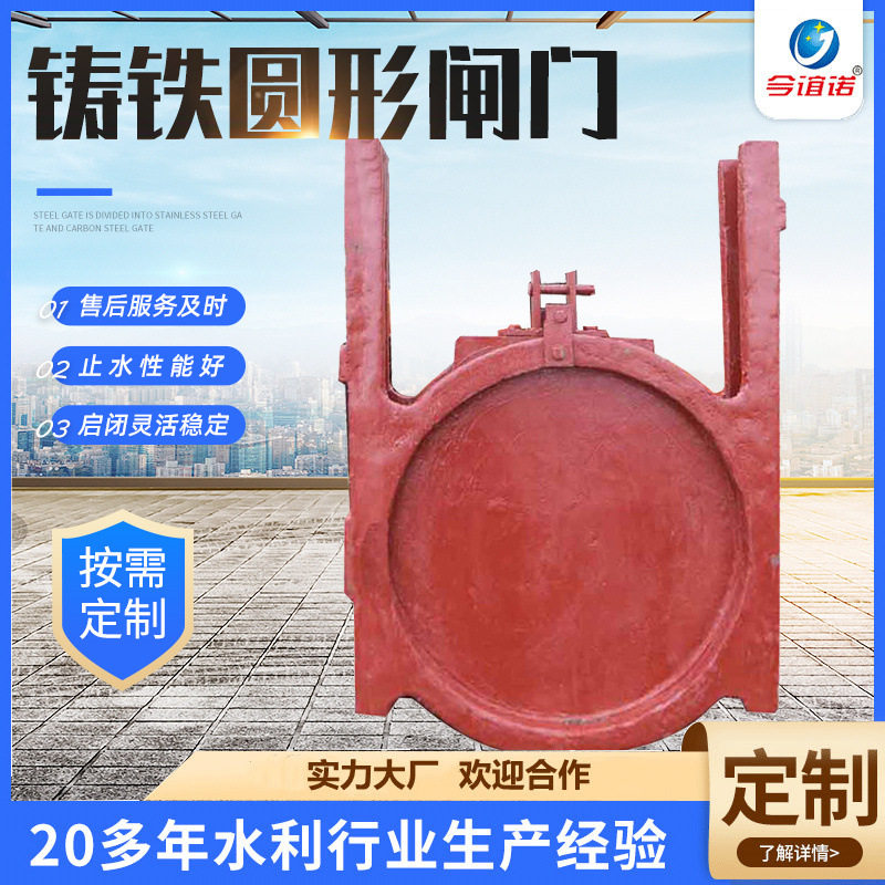 水利工程双向止水铸铁镶铜闸门