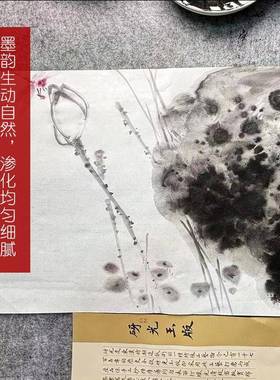 四尺书国画创23350专用加厚皮生宣花鸟国画写意专用砑光法作檀品