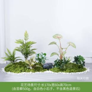 仿真植物造景苔藓假植装假花室内tb-79155热带组合波斯橱饰窗景绿
