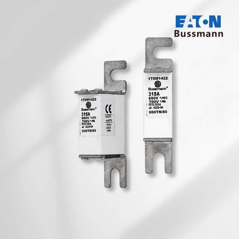 170M261170M26262170M2613IWY170底M2663巴曼低压熔断器/熔芯斯座