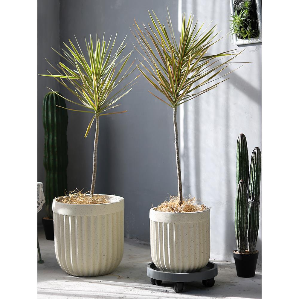 创欧化镁花盆北简约现氧MN-TWHP-代意圆形落地艺术盆客厅户外绿植