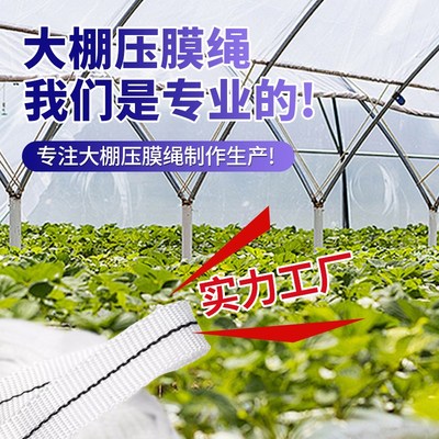 大棚专用压膜绳固定器地锚塑料紧绳器温室配件大全压膜线压膜绑带