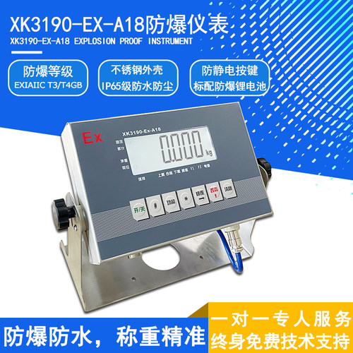耀华XK3190-Ex-A18本安型防爆秤防爆台秤电子秤防爆称重系统地磅