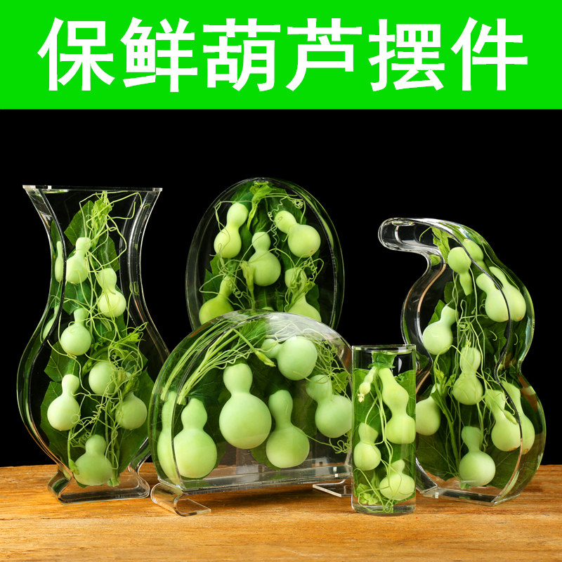 办公室玄关平安福天然绿色保鲜葫芦摆件花瓶家居礼品工艺术品凤梨
