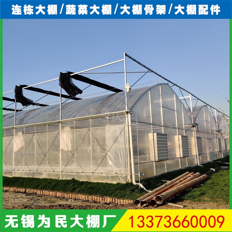 蔬菜育苗塑料薄膜连栋温室大棚 8430外遮阳蓝莓避雨农业连体大棚