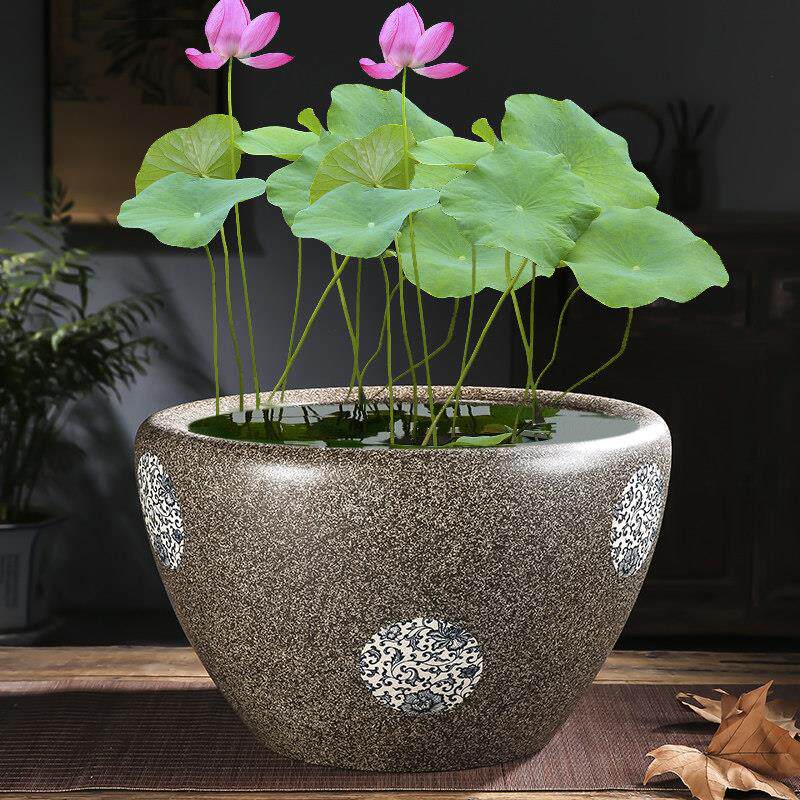 景德镇陶瓷大缸大号花盆碗莲睡莲荷花缸乌龟缸养金鱼水缸种铁树盆