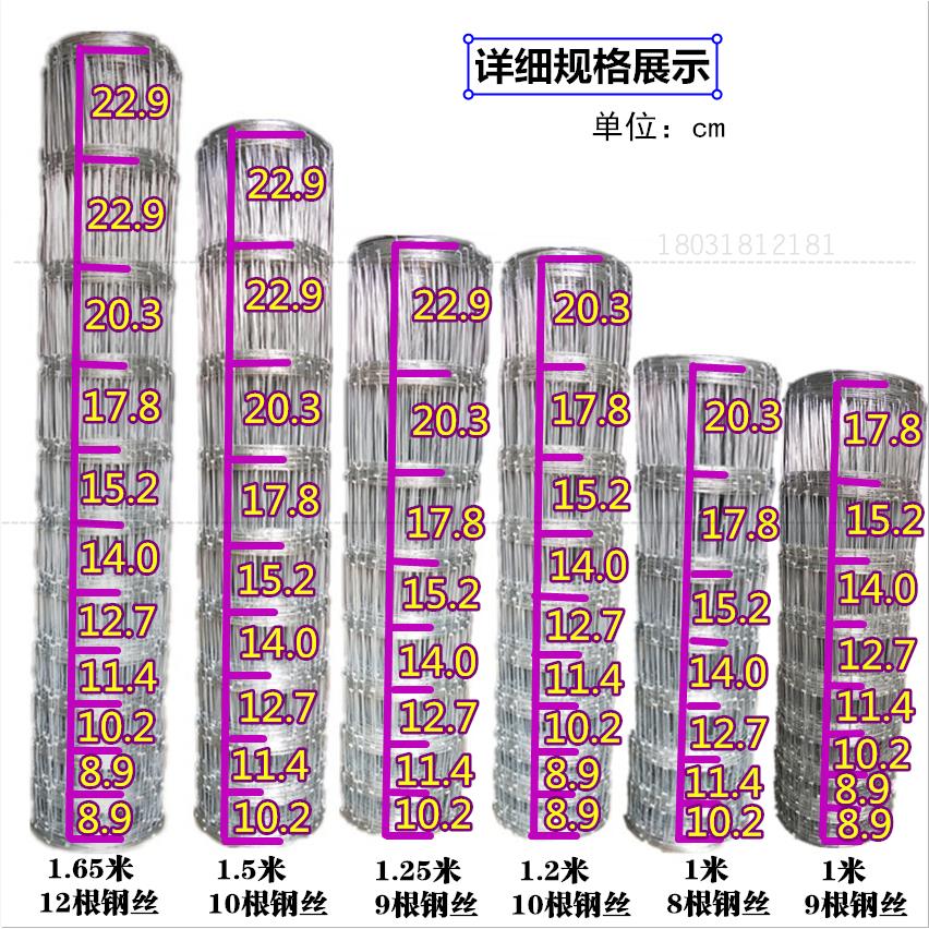 镀锌网栏网铁丝网牛围栏隔离栅栏钢丝羊户外驰华养牛养殖网果园防