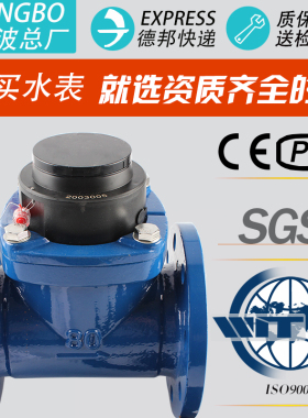 宁波水表总厂工业法兰国标大口径可拆螺翼式LXLCDN50100防冻耐压