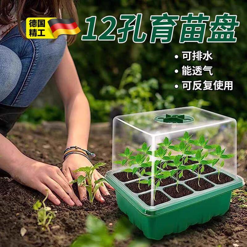 多肉叶插育苗盆三件套培养播种盒保湿温育苗盘12孔塑料育苗盒盖