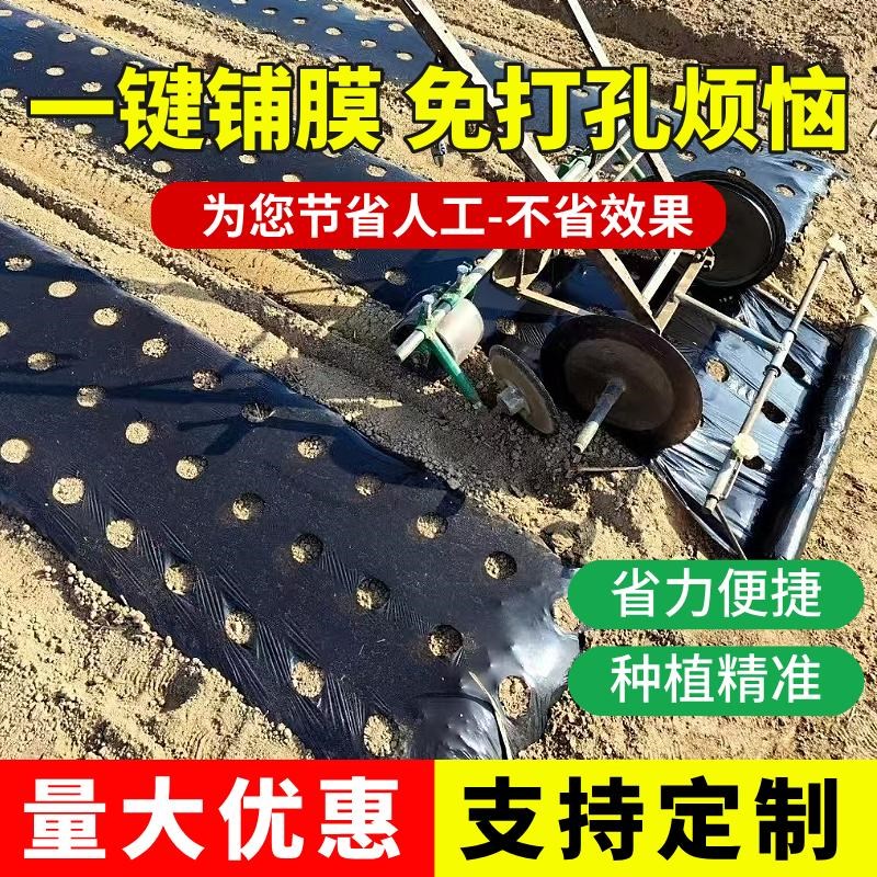 打孔黑色地膜农用蔬菜药材防草除草土豆小葱种植塑料薄膜黑色地膜