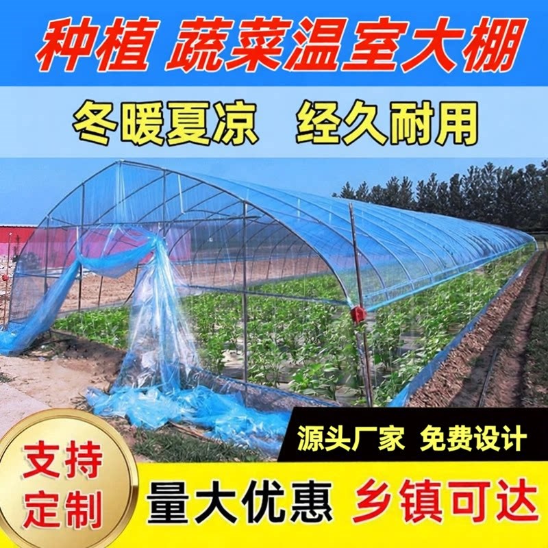 家用种植蔬菜温室大棚西瓜草莓棚大量花卉多肉保温棚连栋大棚