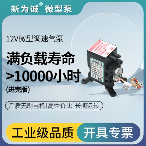 分析仪配套 可调真空泵12v直流电动微型抽打两用气泵FML