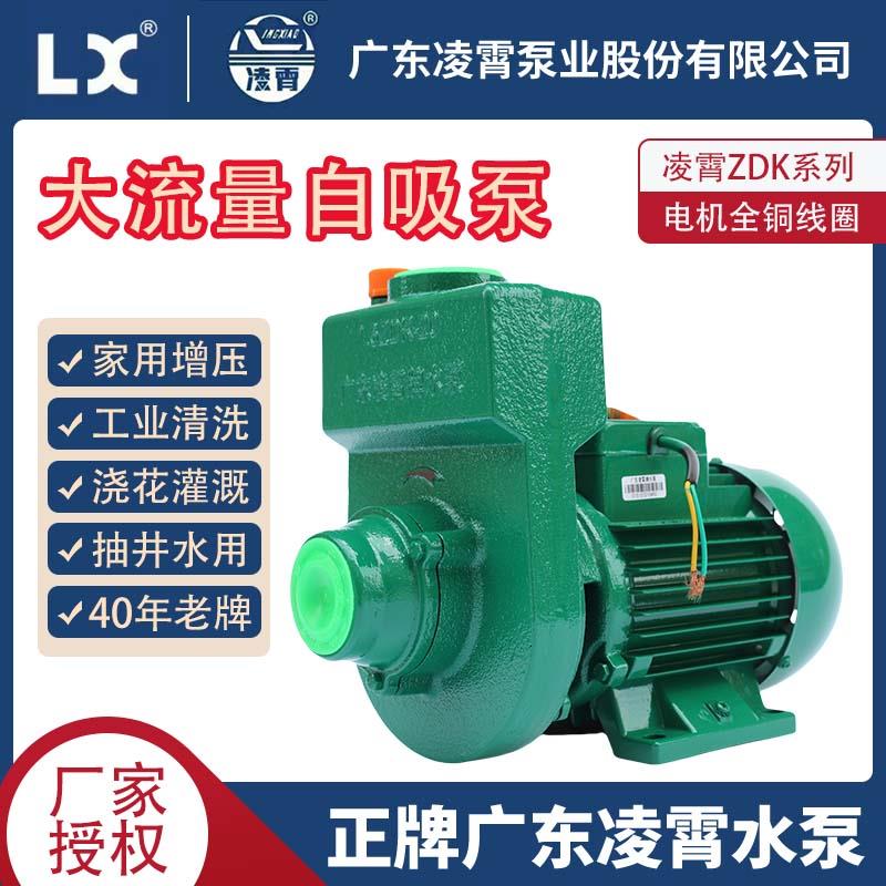 广东凌霄1.5DK/ZDK-20 2DK/ZDK-16/20/T自吸清水泵大流量单相三相