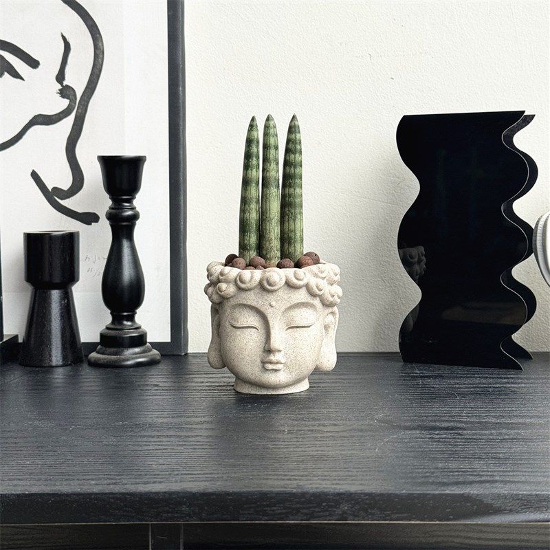 佛前香多肉植物棒叶虎皮兰趣味新中式无刺送礼好养桌面办公室盆栽