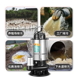 上海潜水泵不锈钢家用清水抽水泵大功率人民污水农用灌溉220V水泵