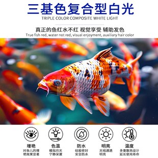 大型户外室外LED鱼缸增艳灯锦鲤鱼池灯专用射灯全光谱照明防水灯