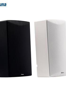 Thinuna IP-9614AO III M/IP-9614AO III S校园网络音箱音响设备