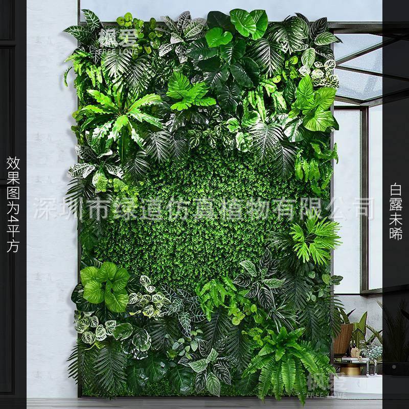 绿植真植JCJ物背饰景阳仿墙面造景装绿色坪仿台生假花