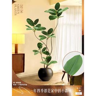 大型客厅落地摆物件室内沙发旁电视柜边假植黑金刚橡皮仿真065绿