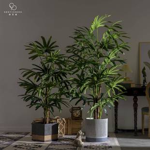 棕竹指绿葵植盆栽仿生植物室绿内客厅装饰摆五件盆景仿真植WZK摆