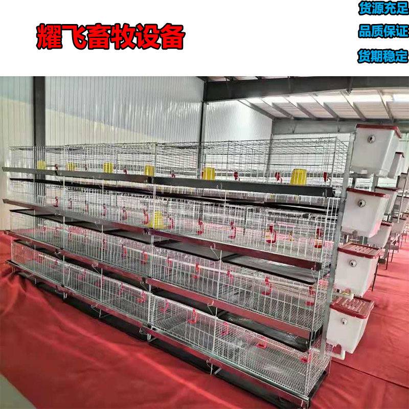 立式小鸡育雏笼家用养小鸡笼加粗加密养殖鸡舍雏鸡脱温用鸡笼子