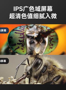 4.3寸屏高清2微0万显微镜MWR1000x电子显镜儿手童机维修工0业显微